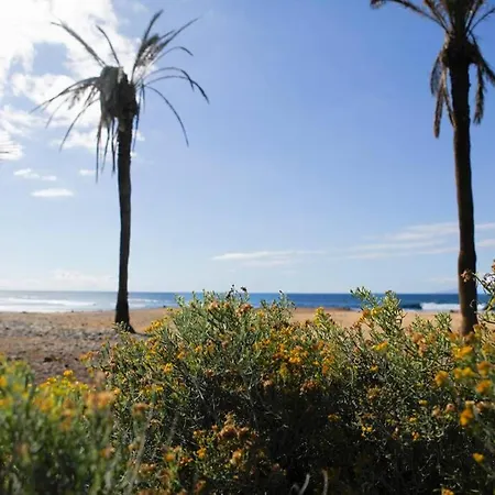Holiday Tenerife Playa De Las Americas *